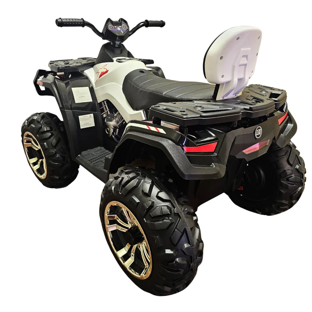 2024,  24V 4x4 Raptor 2 Seater Kids Ride on ATVs