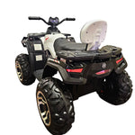 2024,  24V 4x4 Raptor 2 Seater Kids Ride on ATVs